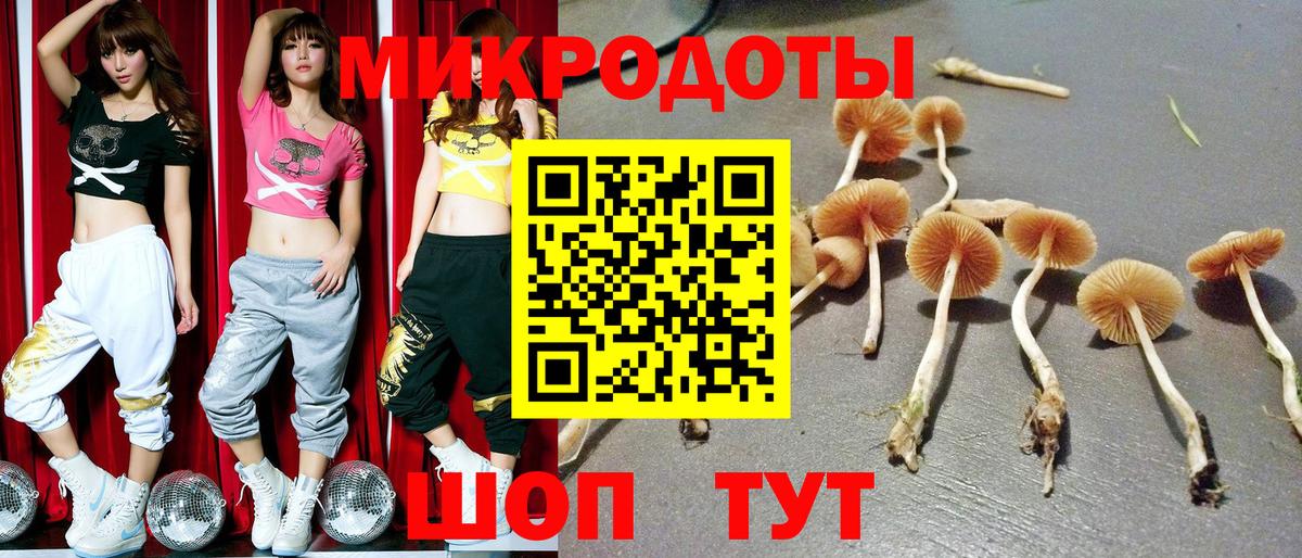 купить закладку  Вход с VPN  Прокопьевск  Галлюциногенные грибы MAGIC MUSHROOMS 